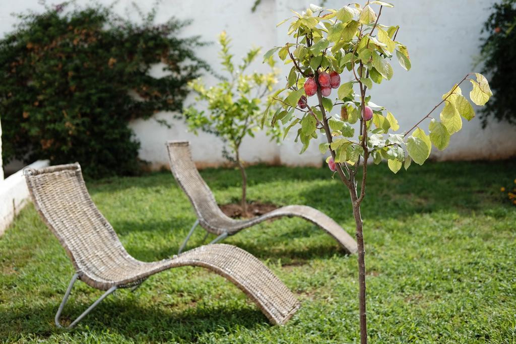 אלציו Residenza Celeste מראה חיצוני תמונה